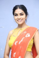 Divi Vadthya Latest Gallery